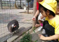 美好社区大爱城:让情亲与健康,融入