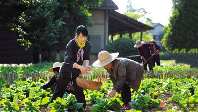 刘若英再回乌镇：看见生活本来的样子