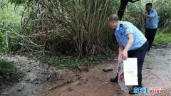萌萌鼬獾跑到村民家中赖着不走 民警送