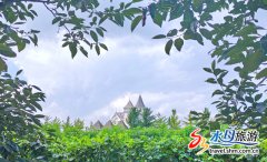 风情采摘节:“葡萄熟了”·我在张裕卡
