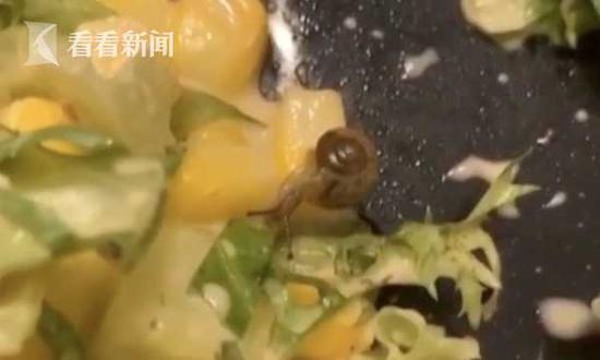 深圳女子叫外卖点了份沙拉 吃完后竟爬出一只活蜗牛