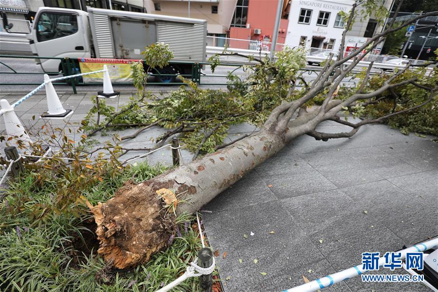 索马里首都发生爆炸至少1人死亡