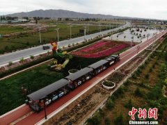 甘肃山丹如意花海盛开:戈壁添色 小火