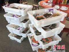 浙江小渔村里的千人庆丰宴:“海派”