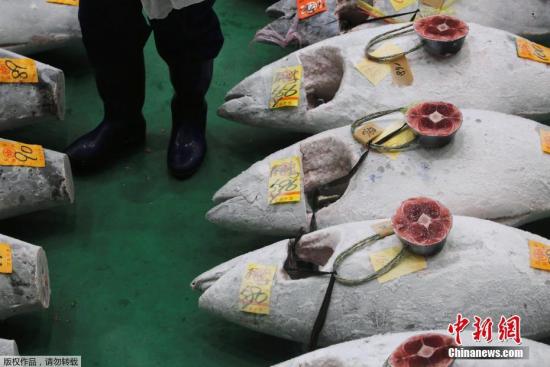 数百金枪鱼被冲上海滩 西班牙当局警告不健康勿