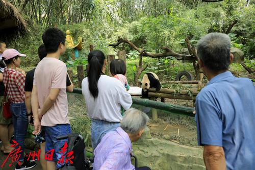 中秋节假期广州旅游市场红火