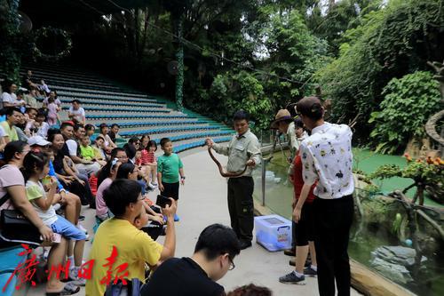 中秋节假期广州旅游市场红火