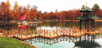 “十一”旅游新体验，一步迈进吉林最美的秋天，你来吗？