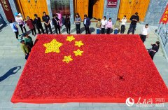 庆丰收河南农民用辣椒玉米摆巨幅国旗