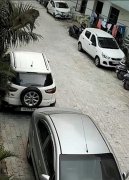 故意的?印度一只猴子从阳台上跳下踩塌