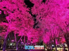 光影点亮沱江江畔 资阳“新晋打卡地”