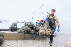 一年四季都在收获