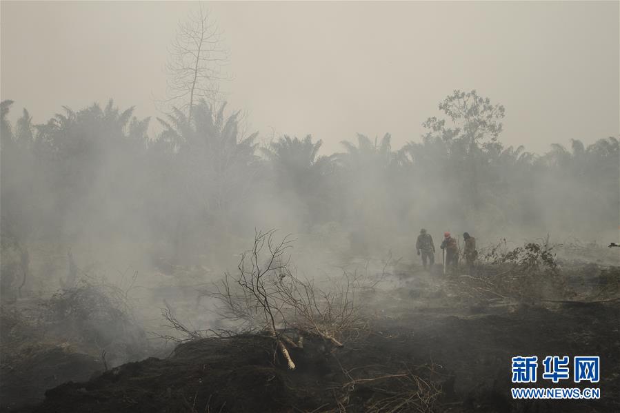 美国驻伊拉克大使馆附近遭迫击炮弹袭击