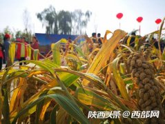 2019年消费扶贫暨农民丰收节活动绥德开