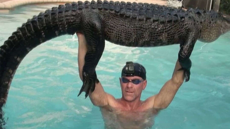 鳄鱼出没！美国住宅游泳池惊现鳄鱼 救援人员徒