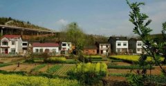 重磅新规!河北农村宅基地,要有大变
