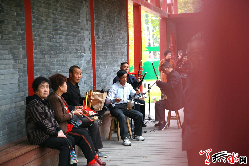 麦积区马跑泉公园迎来赏菊高潮