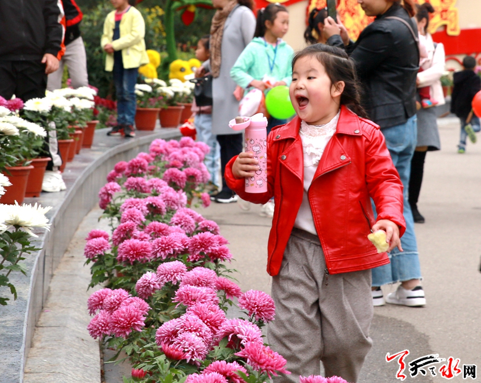 麦积区马跑泉公园迎来赏菊高潮