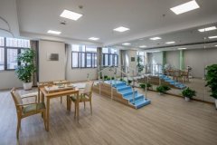 龙湖椿山万树布局上海一线城市养老市