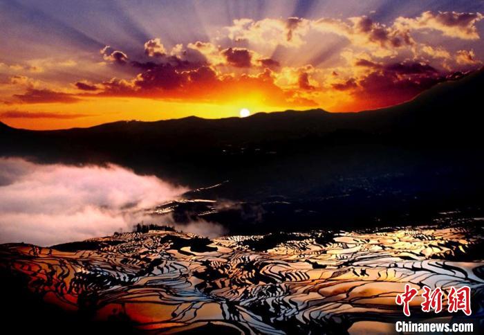资料图：云南元阳的七彩梯田被称为“地球上最美的曲线”。