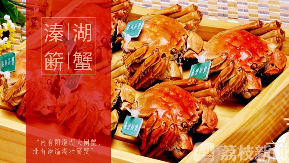 “溱湖八鲜”姜堰美食上海推广周开幕