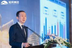 旭辉总裁林峰蝉联“2019中国百佳CEO”