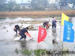 美食文化盛宴 柳南区第二届螺蛳粉小镇