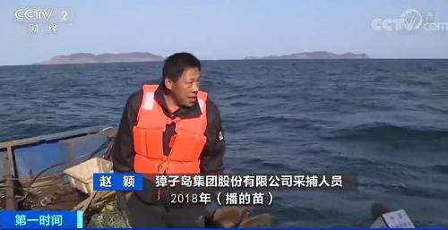 央视财经记者登上獐子岛捕捞船，“集体暴毙”的扇贝到底还活着多少？