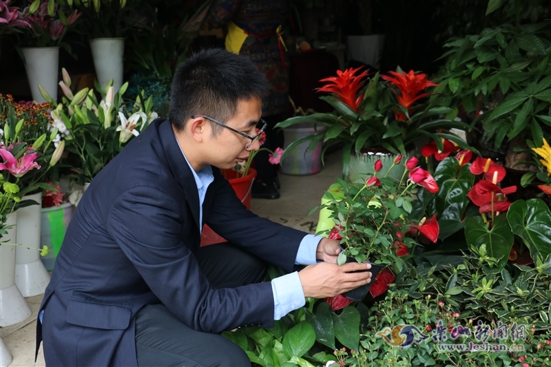 天气转冷 绿色植物走俏乐山冬季花卉市场