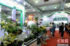 两岸“农博会·花博会”签购销订单超