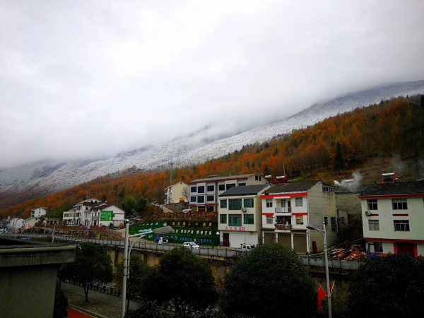 雪后的神农架，变成了一幅水墨画