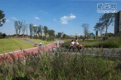 <b>美丽宜居公园城区建设的“成都金牛实</b>