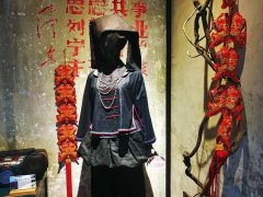 各地美食、缤纷活动……“冬游广西 乐