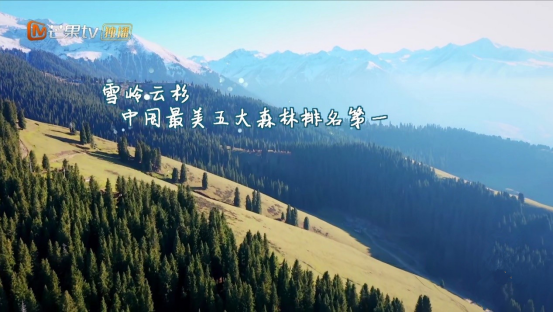 《野生厨房2》告别新疆美食行 团队本真还原“野生”样貌