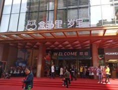 盒马侯毅:盒马终极目标是把线下流量