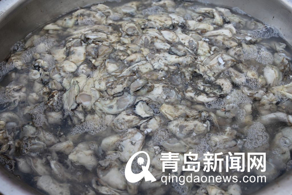 冬日美味海鲜来了 肥美海蛎子上市 批发价每斤