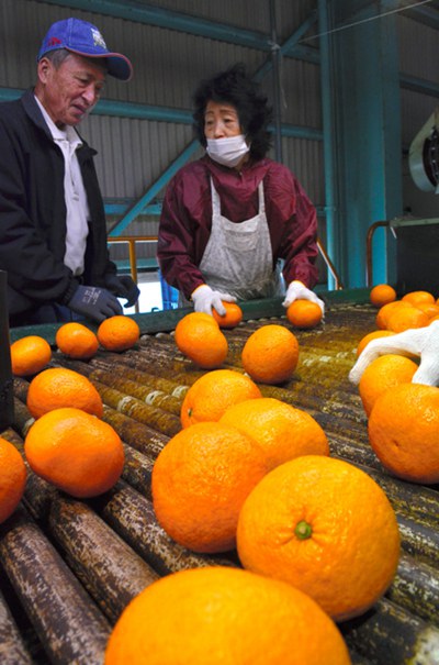 关于日本饮食文化，你不知道的几个冷知识（14）