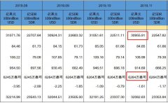 11月末中国外储较年初上升229亿美元 升
