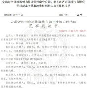 顺风车遭事故华安财险判赔48万 安邦拒