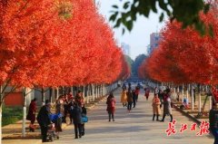 未来三天升温明显,武汉比昆明还暖和