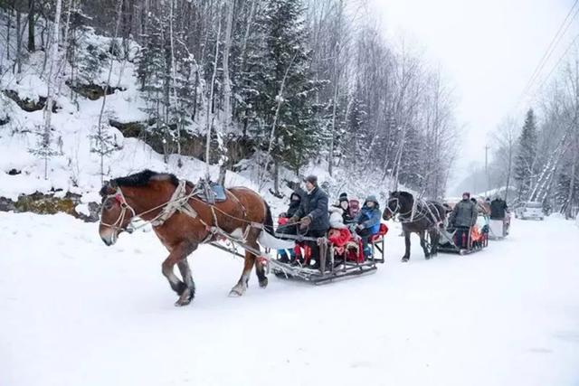 为了雪，去一次东北也值得