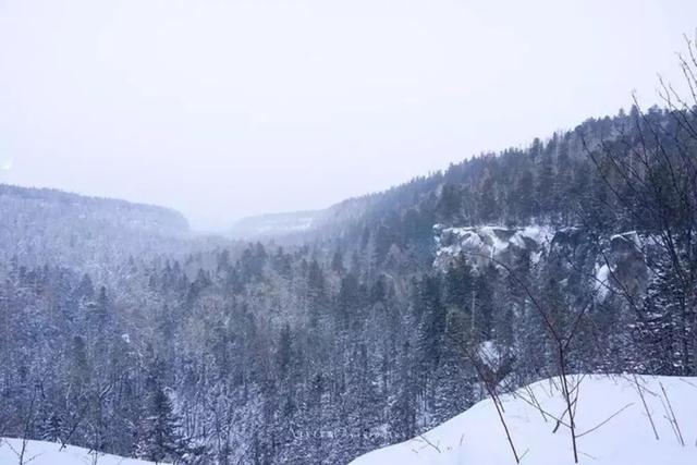 为了雪，去一次东北也值得