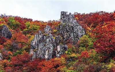 全域旅游 研学旅游 休闲旅游 康养旅游