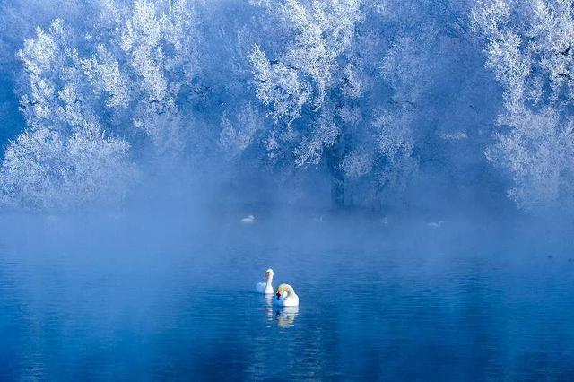 雪沃新疆丨实用！新疆冰雪季游玩攻略来咯