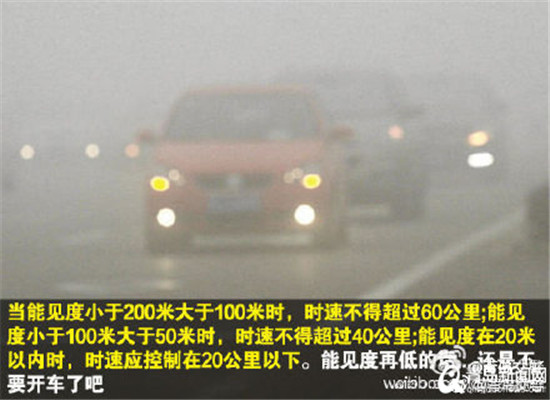 “雾”必注意!青岛这些高速路禁止七座以上客
