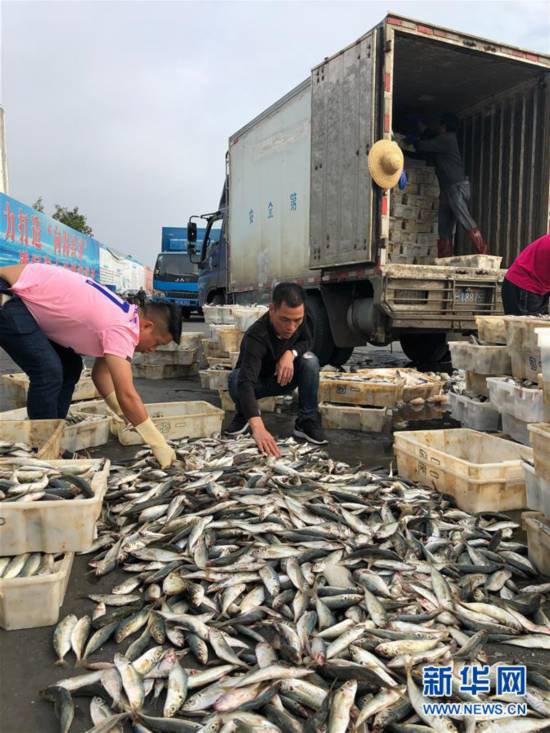 漁民安·漁獲豐·漁家樂——僑港漁民的新年願望