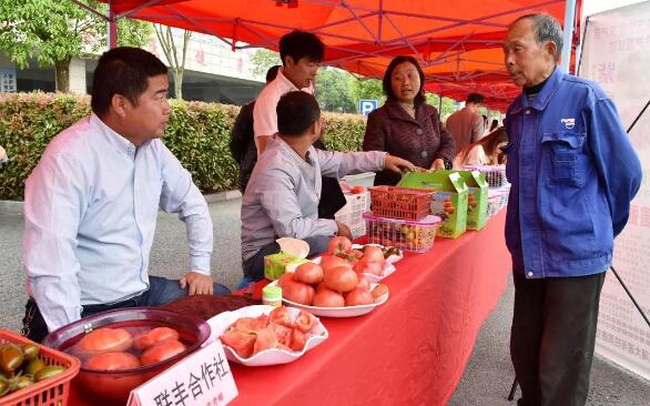 2019中國·巢湖第六屆中垾番茄美食文化節開幕