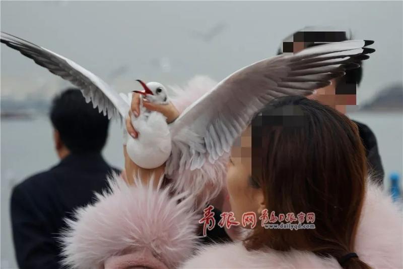 令人愤怒!这群人,你们在栈桥干的“好事”被拍了!