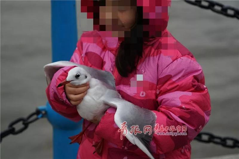 令人愤怒!这群人,你们在栈桥干的“好事”被拍了!