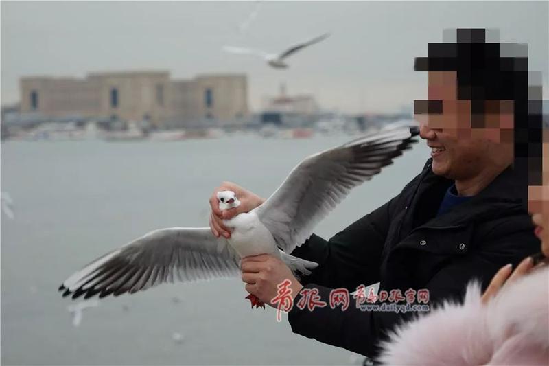 令人愤怒!这群人,你们在栈桥干的“好事”被拍了!